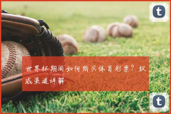 世界杯期间如何购买体育彩票?权威渠道详解