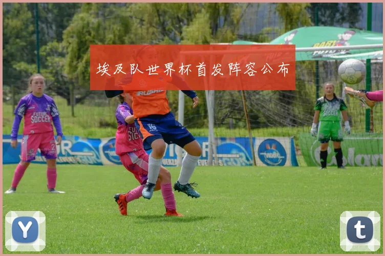 埃及队世界杯首发阵容公布