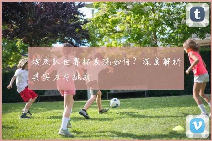 埃及队世界杯表现如何?深度解析其实力与挑战