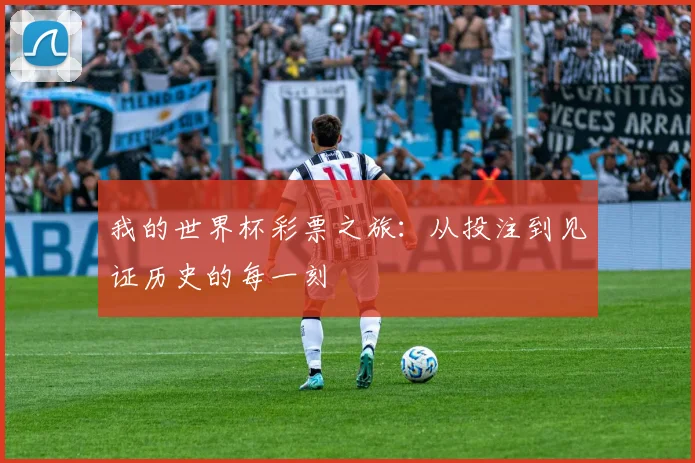 我的世界杯彩票之旅:从投注到见证历史的每一刻